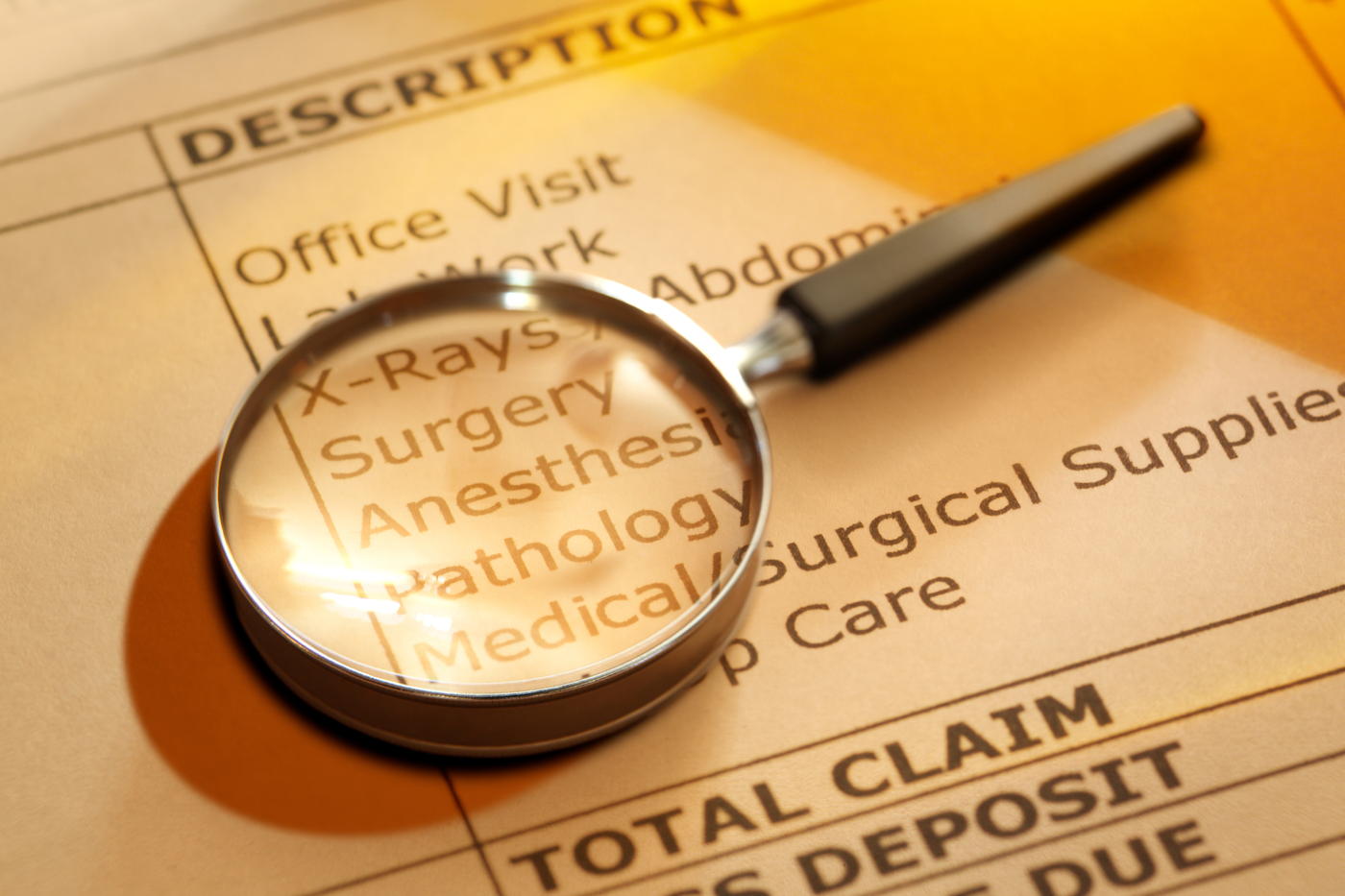 Unified Program Integrity Contractors