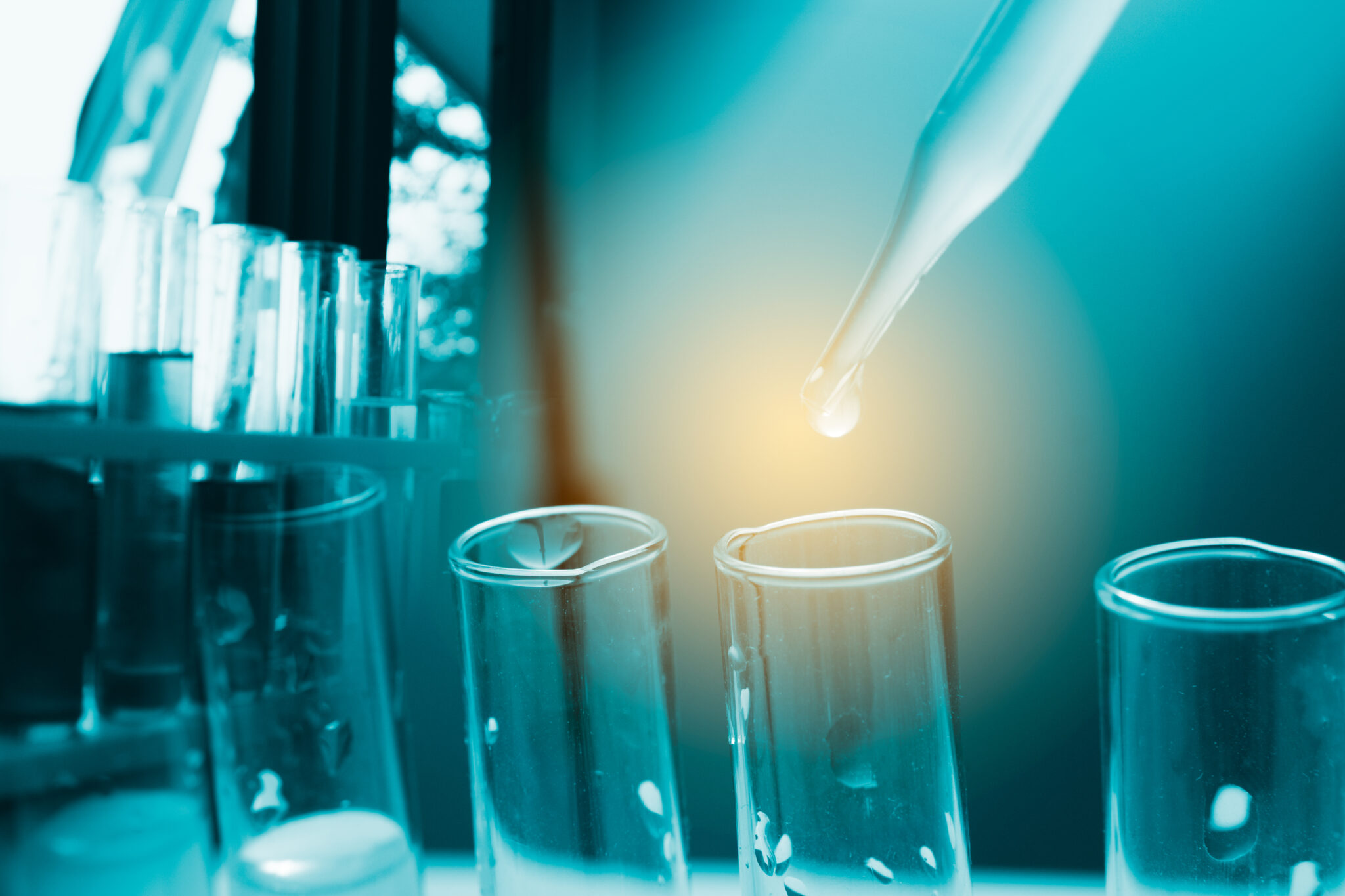 Medicare reimbursement requirements for in vitro diagnostic (IVD) tests