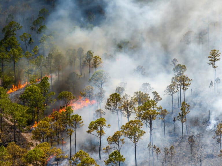 Summer Disaster Risks: Preparation, and Response