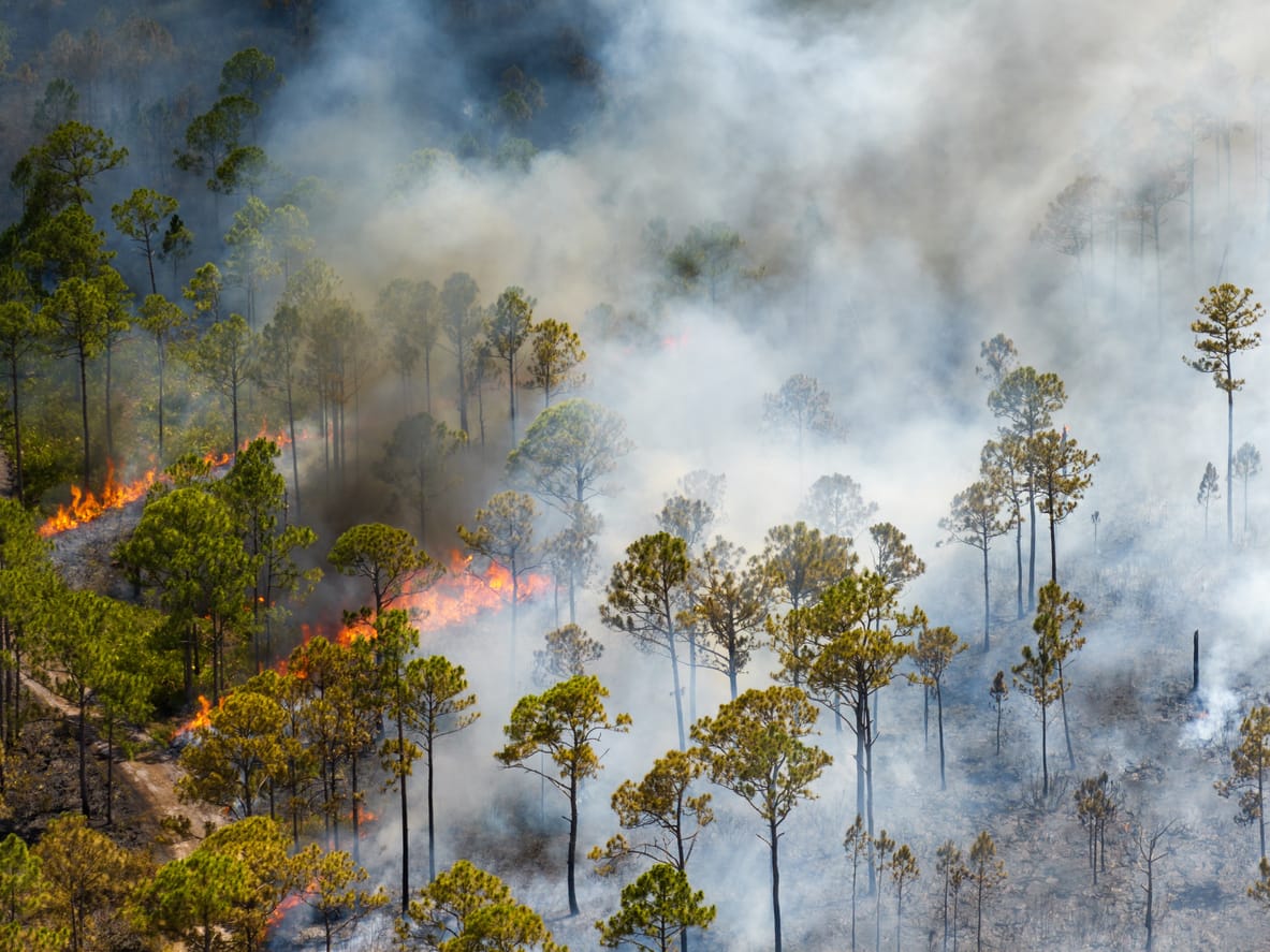 Summer Disaster Risks: Preparation, and Response