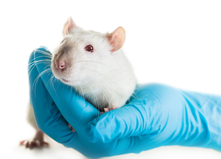 FDA and NIH Initiatives Part of Move Away From Animal Testing