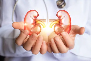 CMS Proposes Enhanced Payments for New Dialysis Technology and Attempts to Streamline DME Pricing and Claims