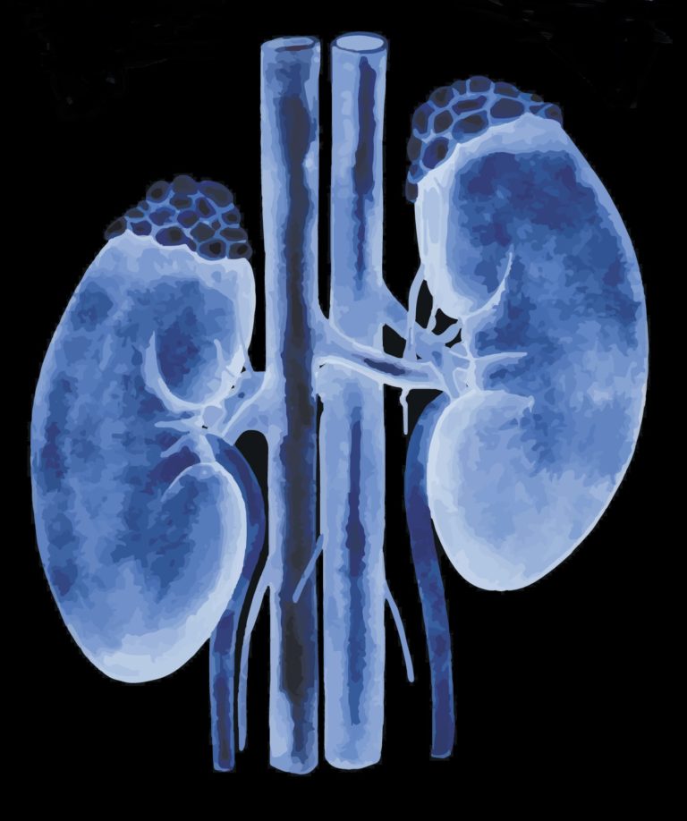 Significant Changes to ESRD Drug Add-On Pricing and Quality Measures
