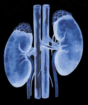 Significant Changes to ESRD Drug Add-On Pricing and Quality Measures
